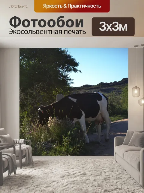 Фотообои Сельская местность