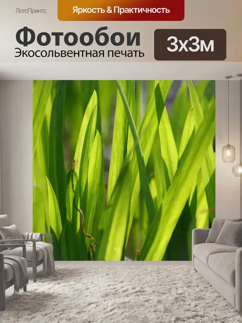 Фотообои Трава