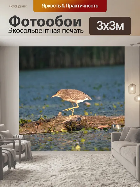 Фотообои Озеро