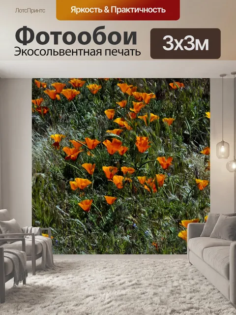 Фотообои Маки