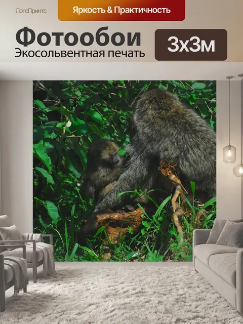 Фотообои Бабуин