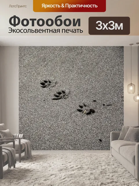 Фотообои Отпечатки лап на мокром песке