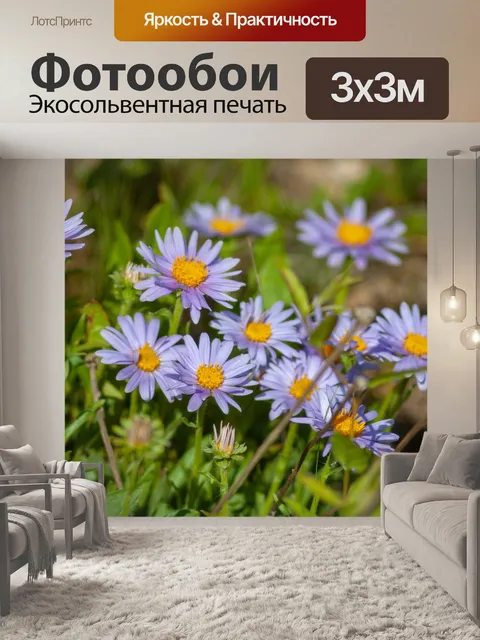 Фотообои Цветы