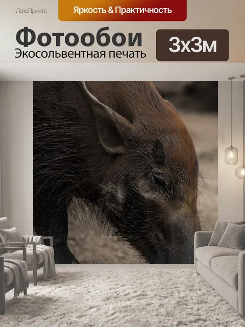 Фотообои Африканский кабан