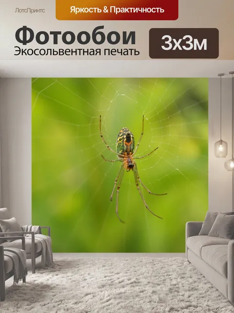 Фотообои Картинки