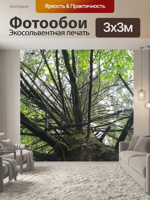 Фотообои вверх по дереву