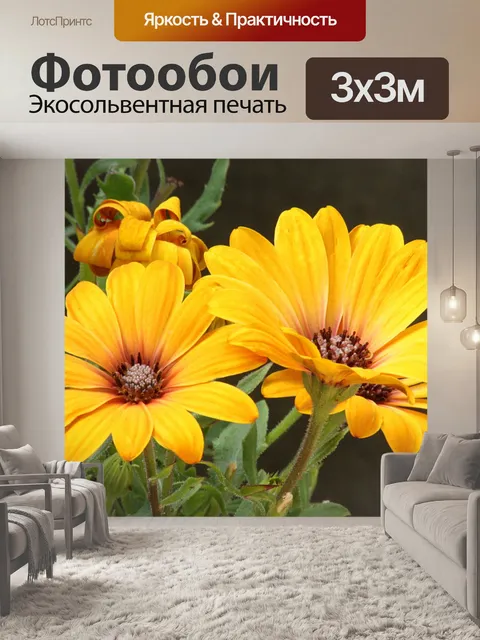 Фотообои Желтые африканские маргаритки
