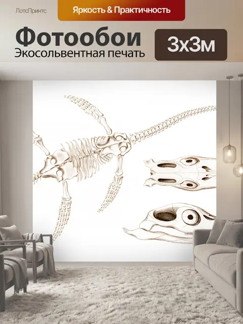 Фотообои Окаменелости морских динозавров, древнее