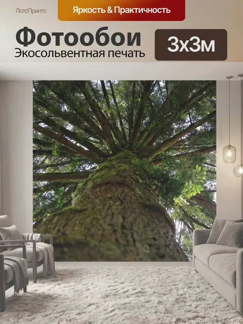 Фотообои вид сверху