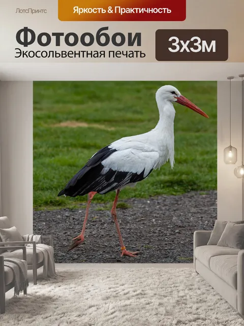 Фотообои Стоящий аист