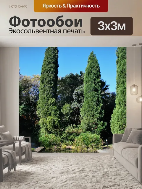 Фотообои кипарисы и бассейн