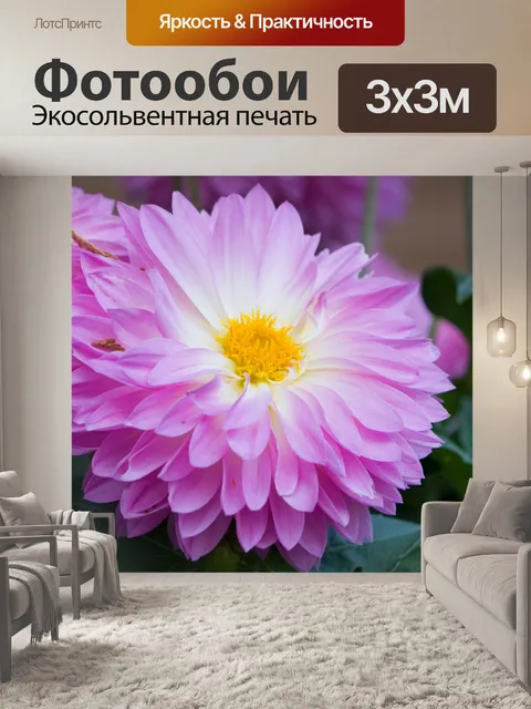 Фотообои Красивый цветок