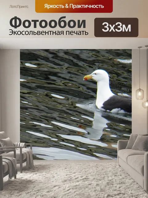 Фотообои Чайка в воде
