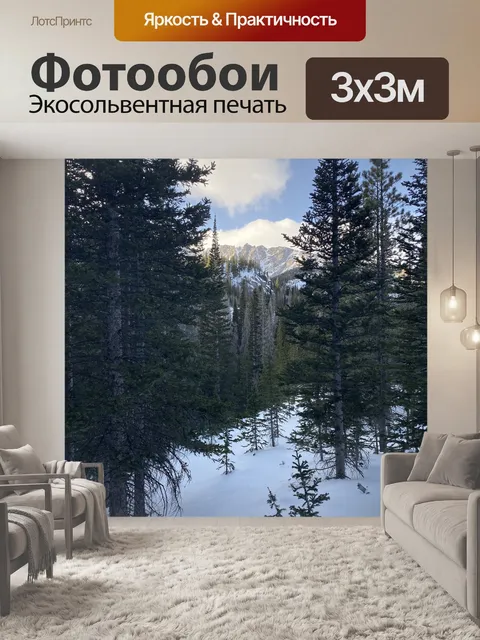 Фотообои Горные лыжи
