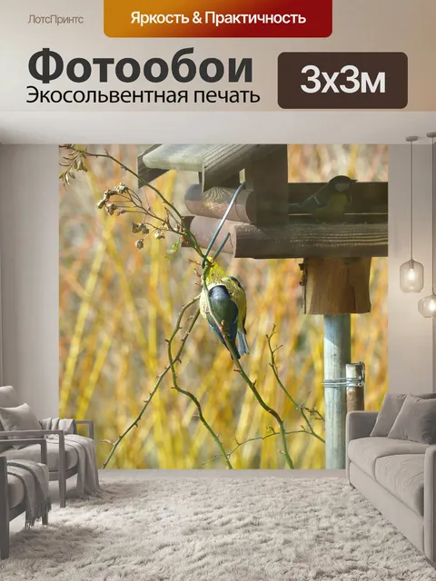 Фотообои Синица