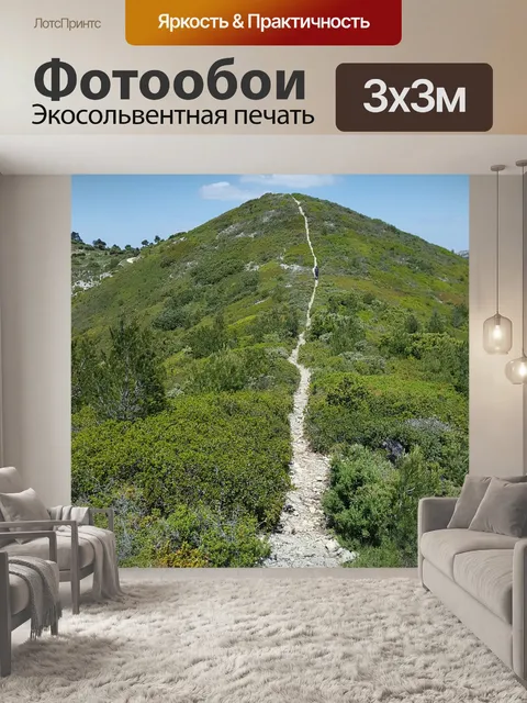 Фотообои Путь
