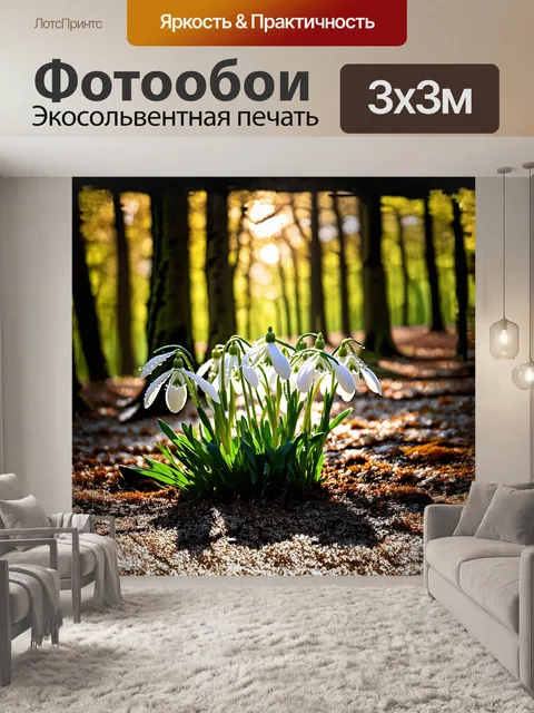 Фотообои группа подснежников, растущих в лесной поляне, создает живописный ковер из белых и зелёных оттенков