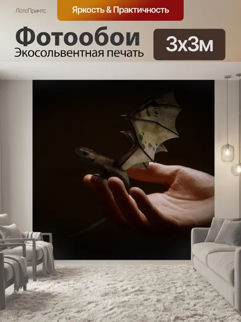 Фотообои Маленький дракончик