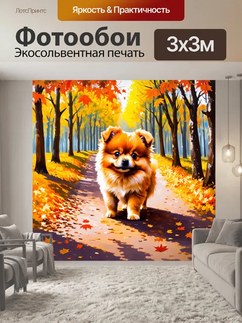 Фотообои щенок померанского шпица
