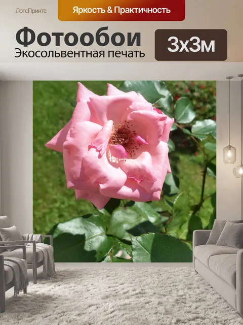 Фотообои Цветок