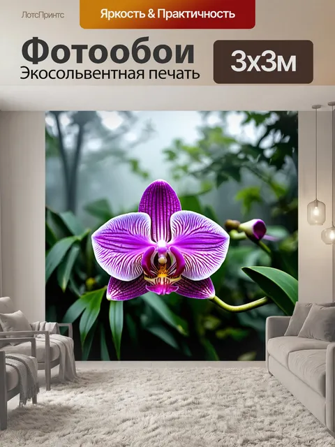 Фотообои орхидея, завуалированная в тумане