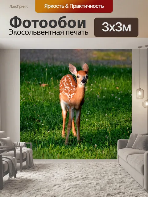 Фотообои Олень