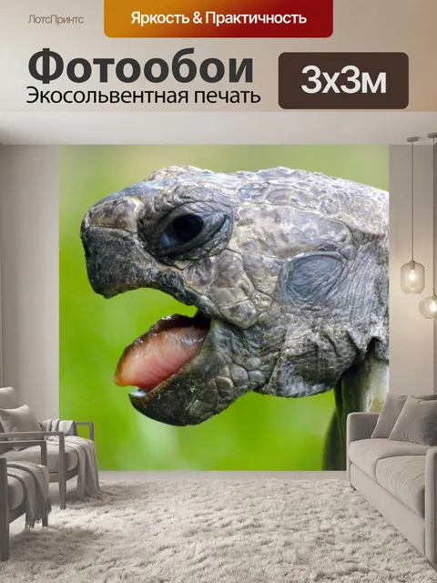 Фотообои Животное