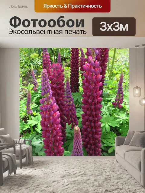 Фотообои Люпины