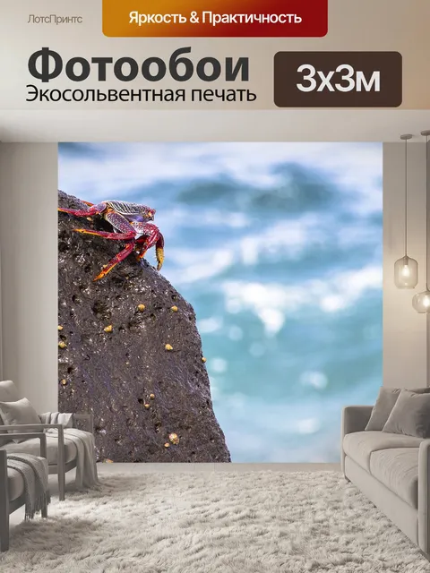 Фотообои Красный краб скалы