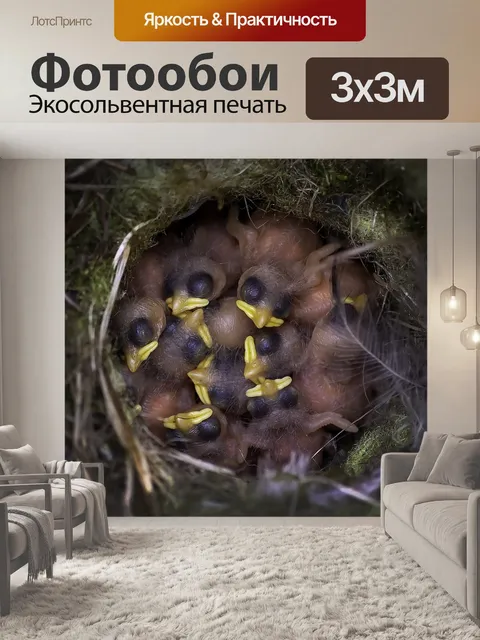 Фотообои Птица