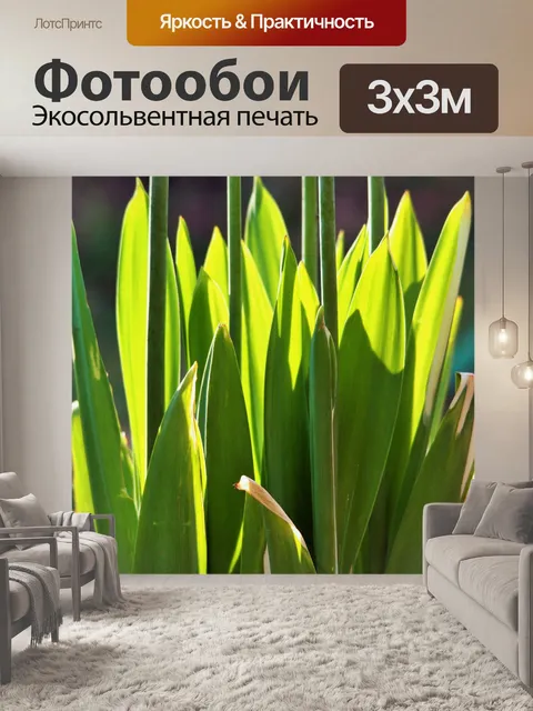 Фотообои длинные стебли и листья полупрозрачные