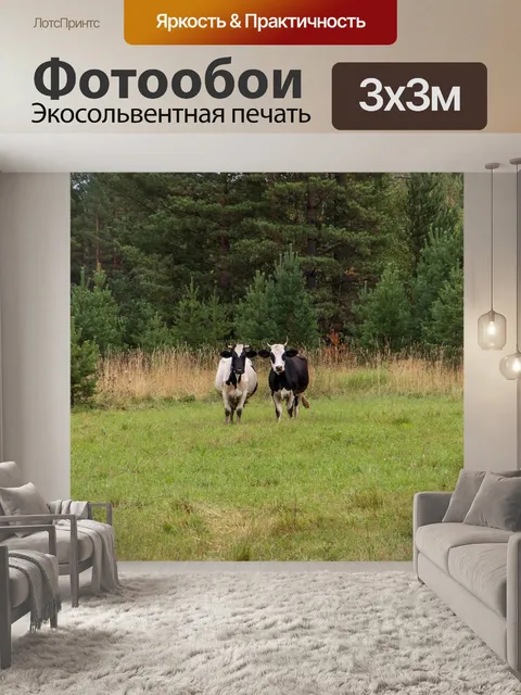 Фотообои Коровы