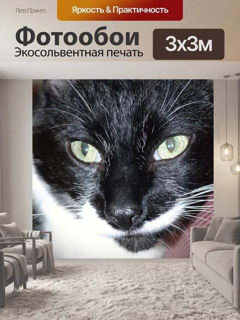 Фотообои Кошачьи глаза