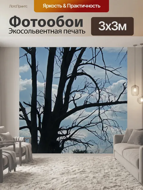 Фотообои Сухое дерево на фоне неба