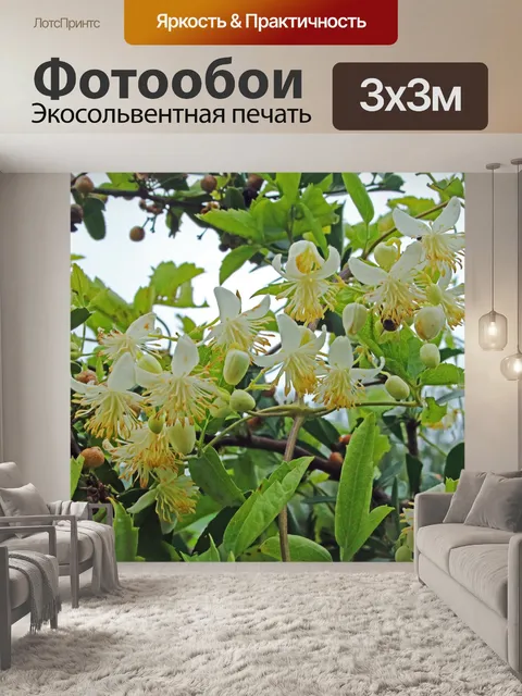 Фотообои кустарник с белыми цветами