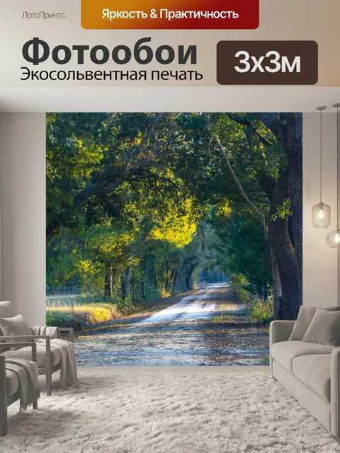 Фотообои Проселочная дорога