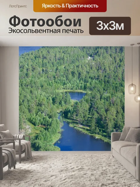 Фотообои Вид вертолета