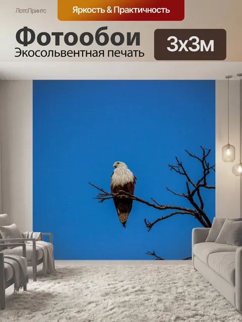Фотообои Птица