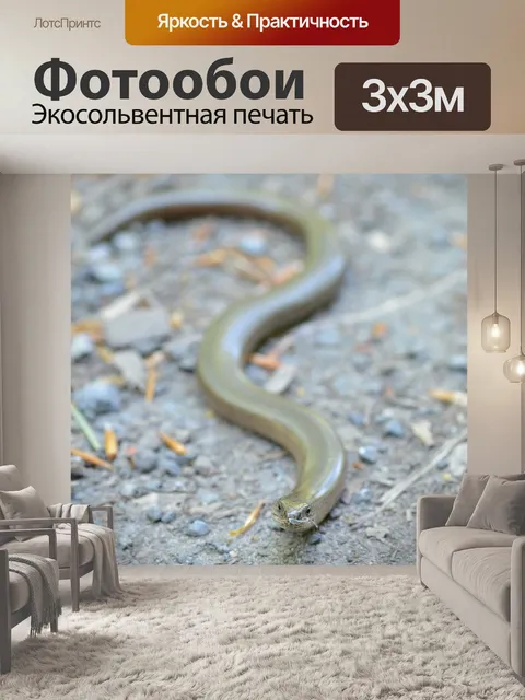 Фотообои Слепой червь