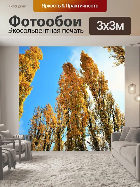Фотообои Тополя