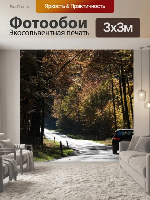 Фотообои Дорога