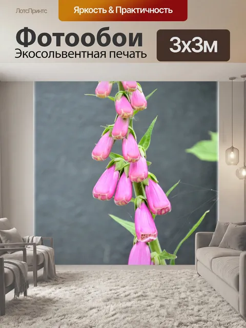 Фотообои Голландские цветы в садах 9