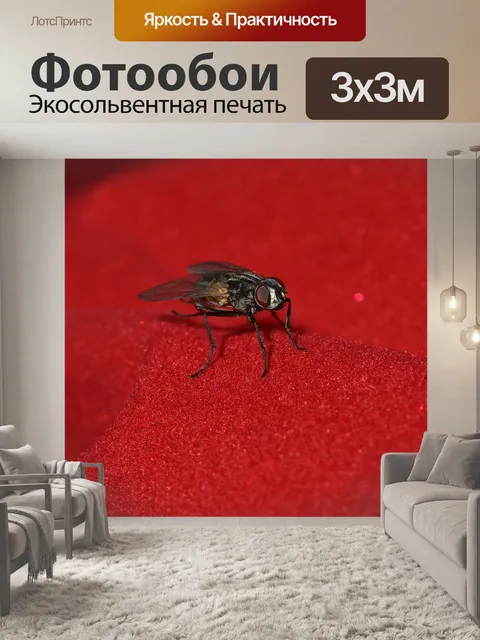 Фотообои Летать
