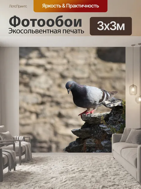 Фотообои Птица