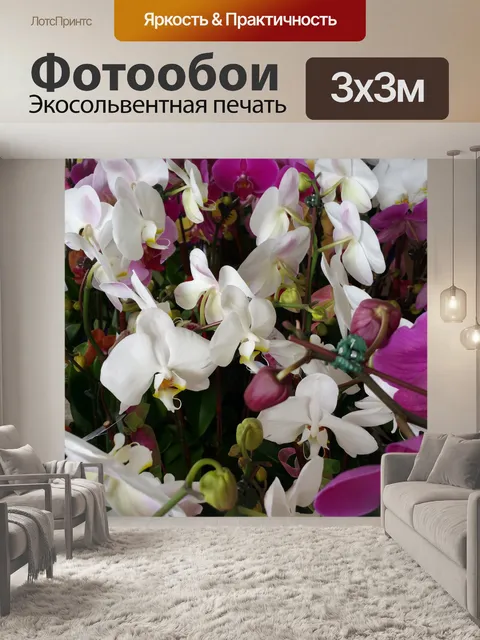 Фотообои Ряды Орхидеи