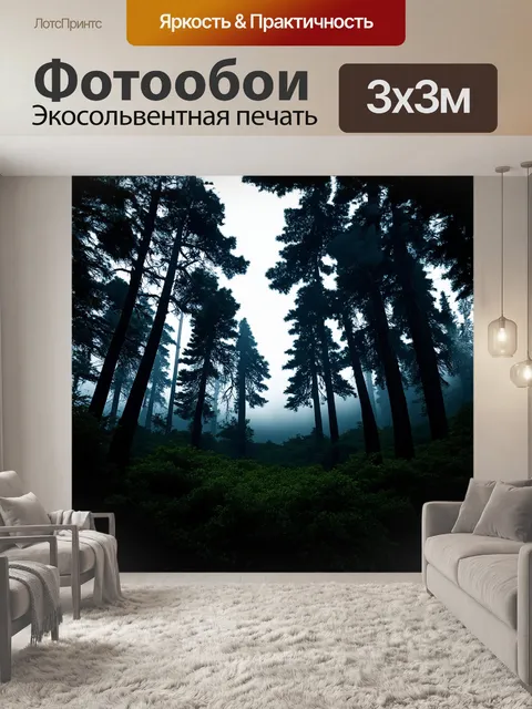 Фотообои в центре темного леса величественные ели стремятся к небу