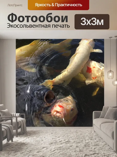Фотообои Koi Fish Pond Изображение