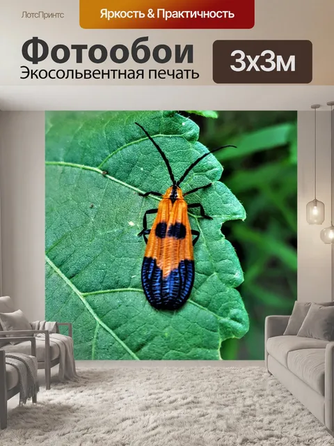 Фотообои Бандатый крылатый жук крупным планом