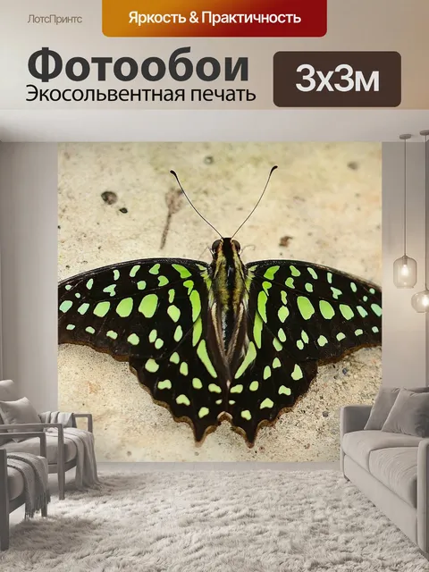 Фотообои Зеленая малахитовая бабочка
