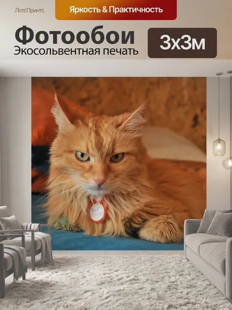 Фотообои Рыжий
